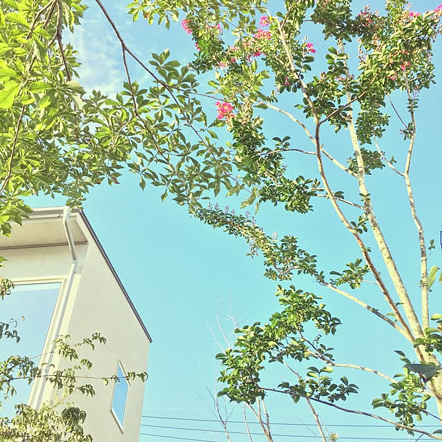 keeさんの実例写真