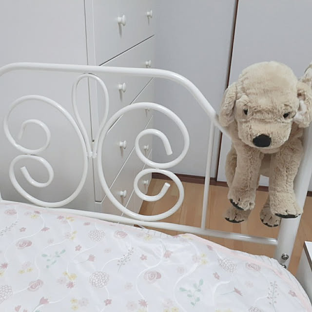warabi.さんの実例写真