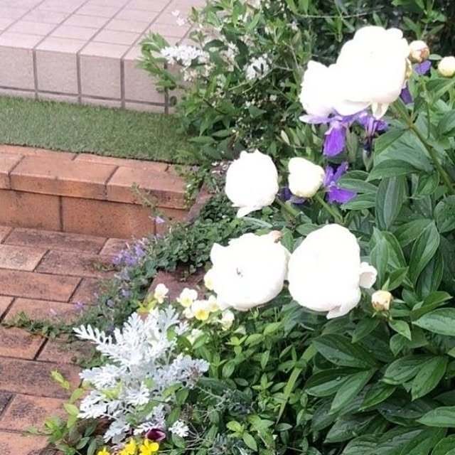 mori_6_12さんの実例写真