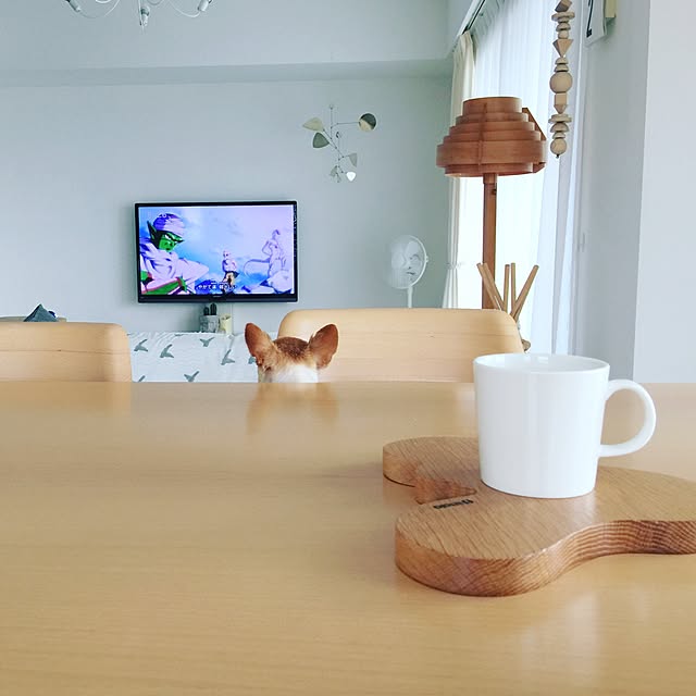 haruhinaさんの実例写真