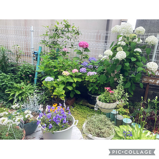 CoCo0617さんの部屋