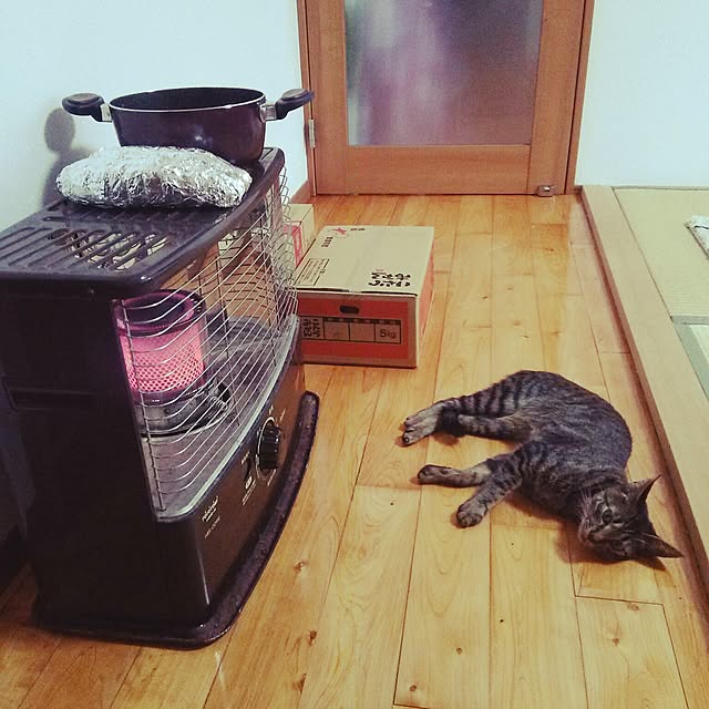 kuromiさんの実例写真