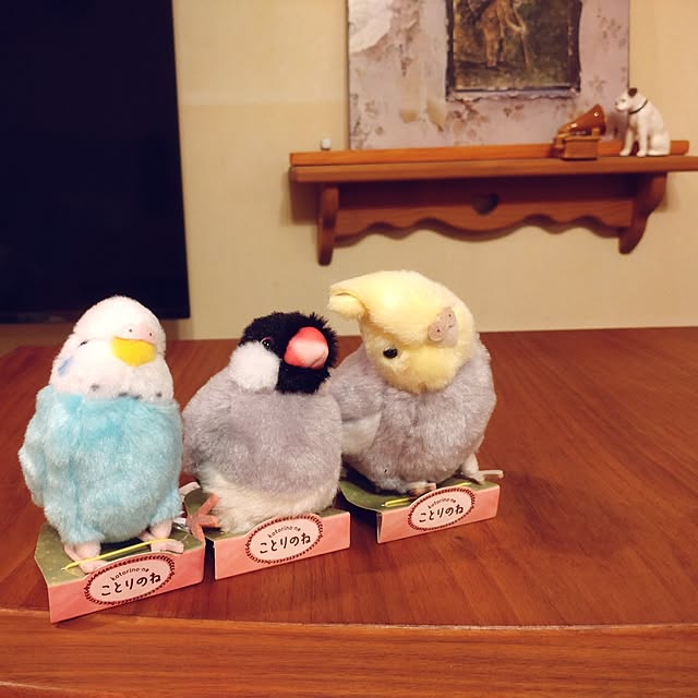 Hujikoさんの実例写真