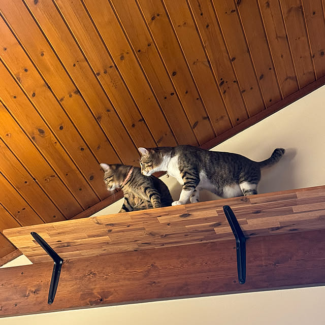 noraさんの実例写真