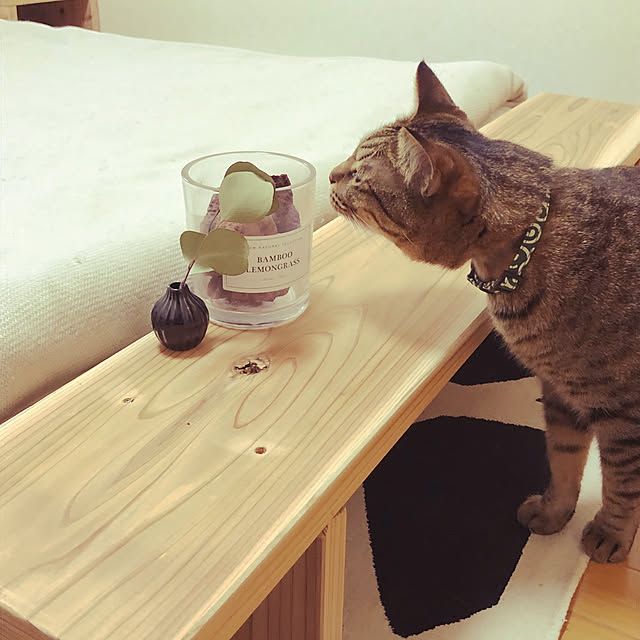 cha-ruさんの実例写真
