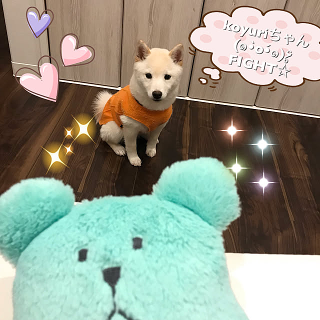 Nicoleさんの実例写真