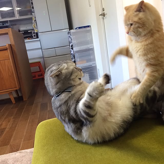 Maklokinakaさんの実例写真