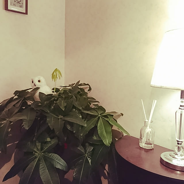 kawatemiki1225さんの実例写真
