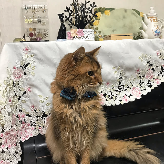 yukarinさんの実例写真