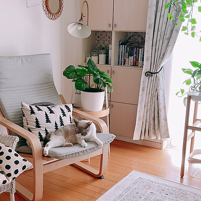 milkcocoaさんの部屋