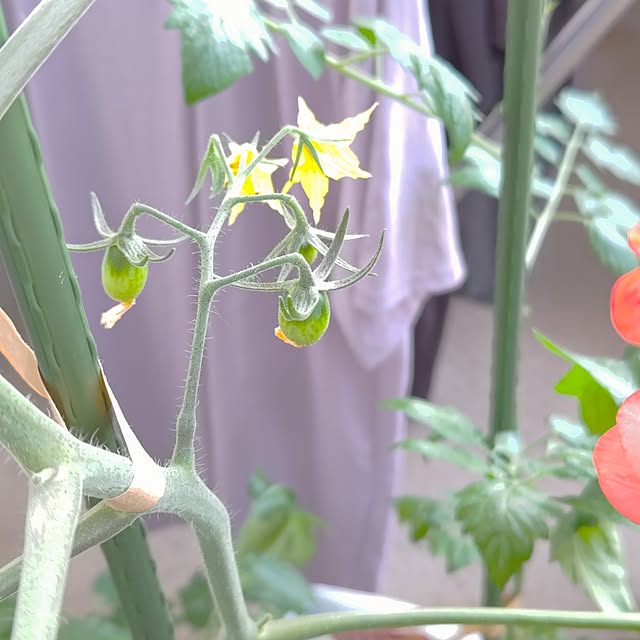mariaさんの部屋