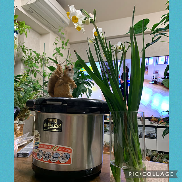 Aqettyさんの実例写真