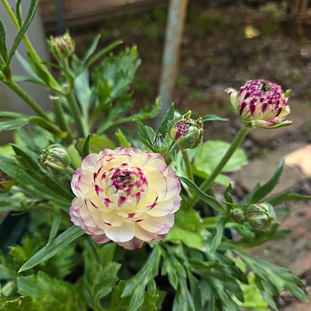 min_nimさんの部屋