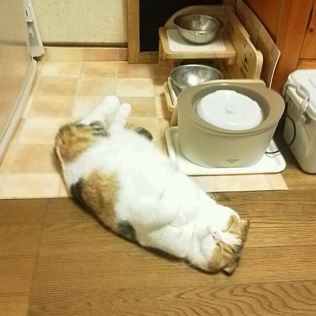 mikiさんの実例写真