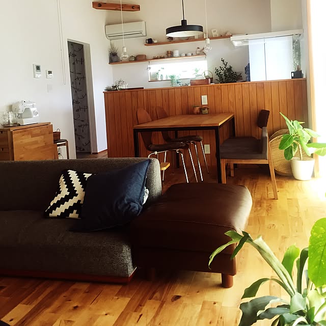 DailyRoomclip