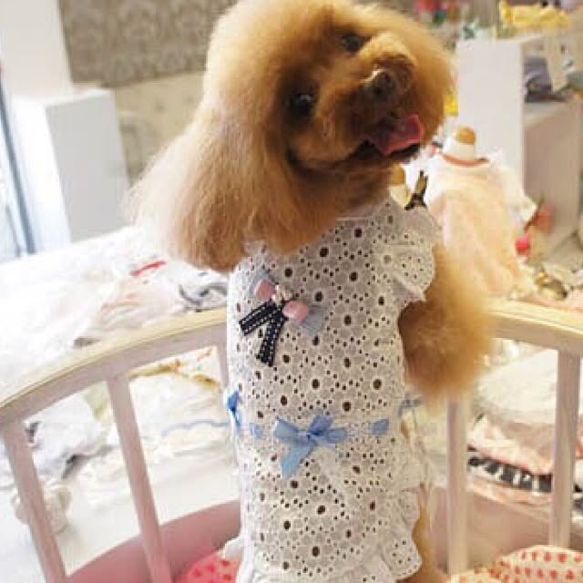 rarcmamaさんの実例写真