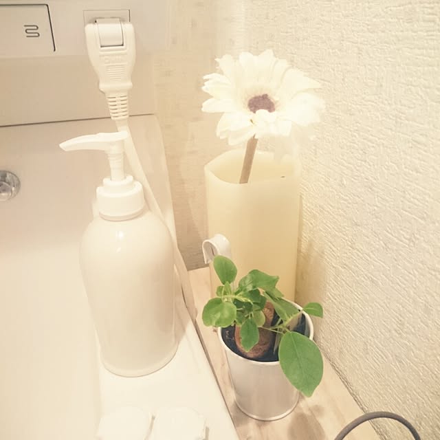 Misaさんの実例写真
