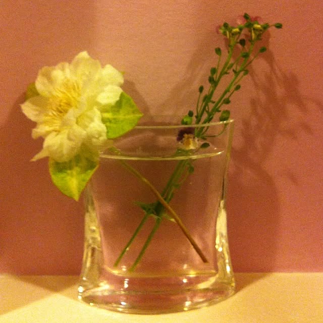 Mrsrerereさんの実例写真