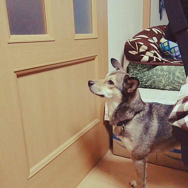 andさんの実例写真