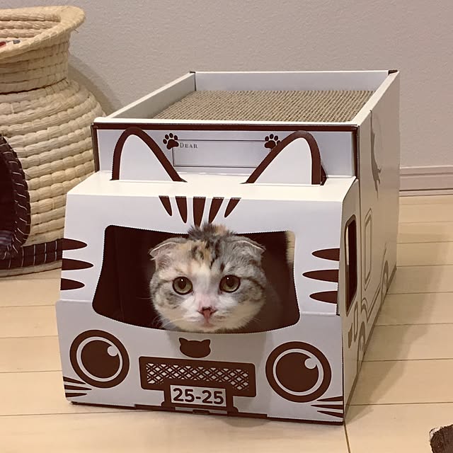 yokkochanさんの実例写真