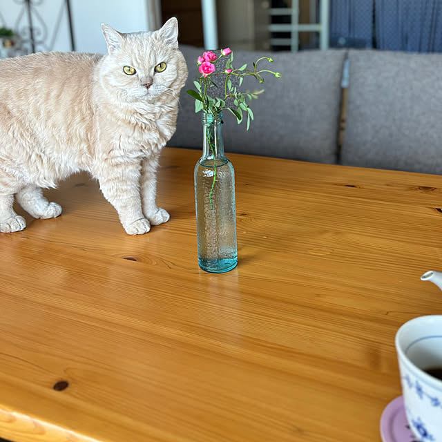 naokoさんの実例写真
