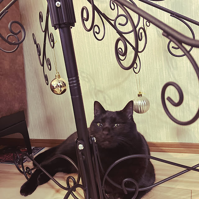 harukaさんの部屋