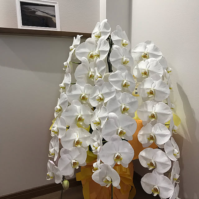 K.Rさんの実例写真