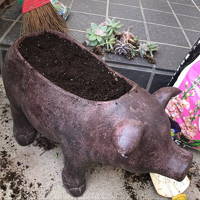 mayuyuさんの実例写真
