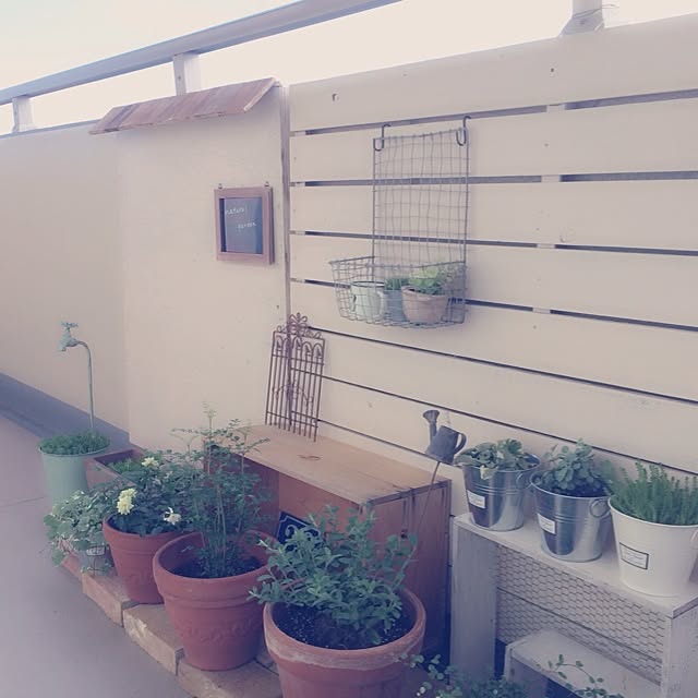 cozueさんの実例写真