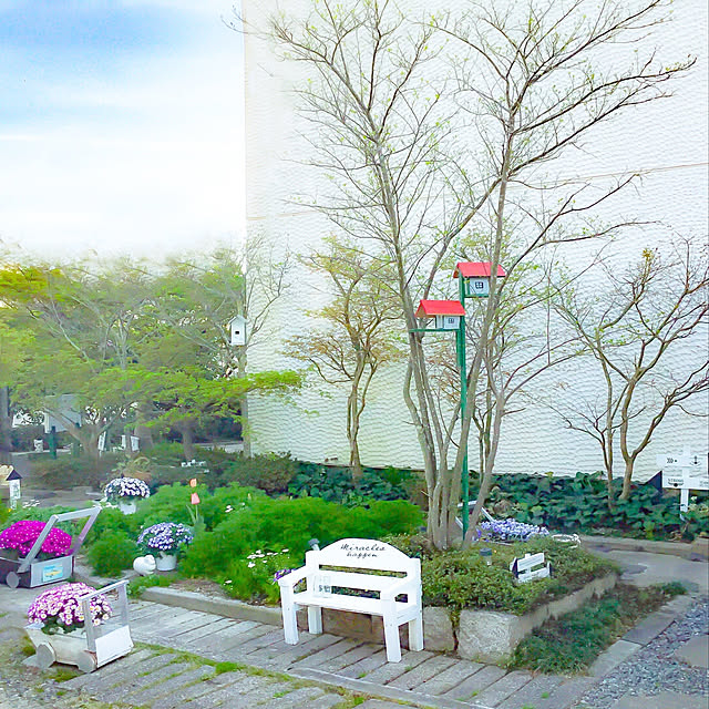marrymisuzuさんの実例写真