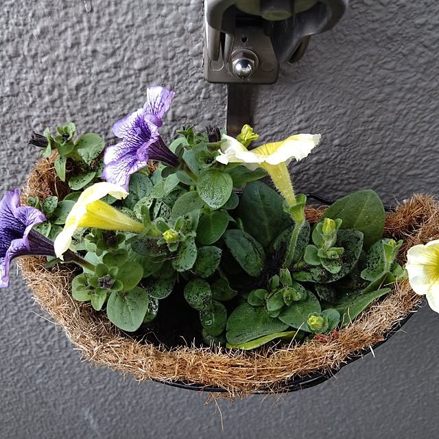 kakkaさんの部屋