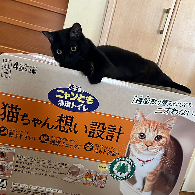prelumoさんの部屋