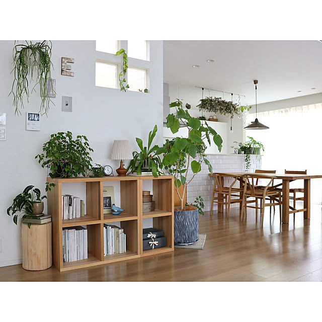 hanatomidorinoheyaさんの部屋
