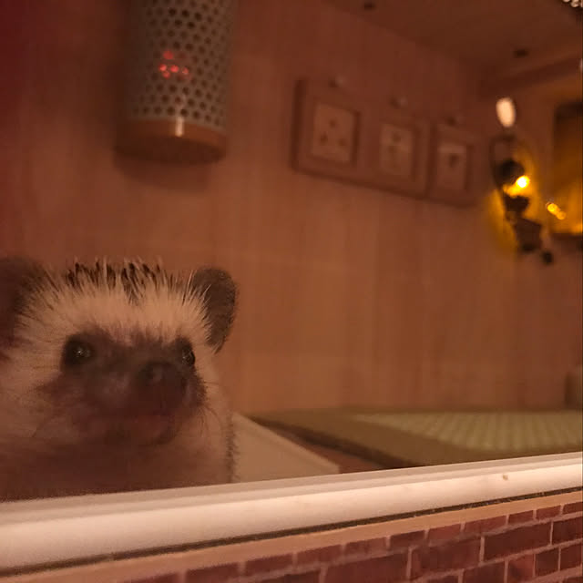 ManabenoLMさんの実例写真