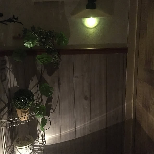 mintteaさんの実例写真