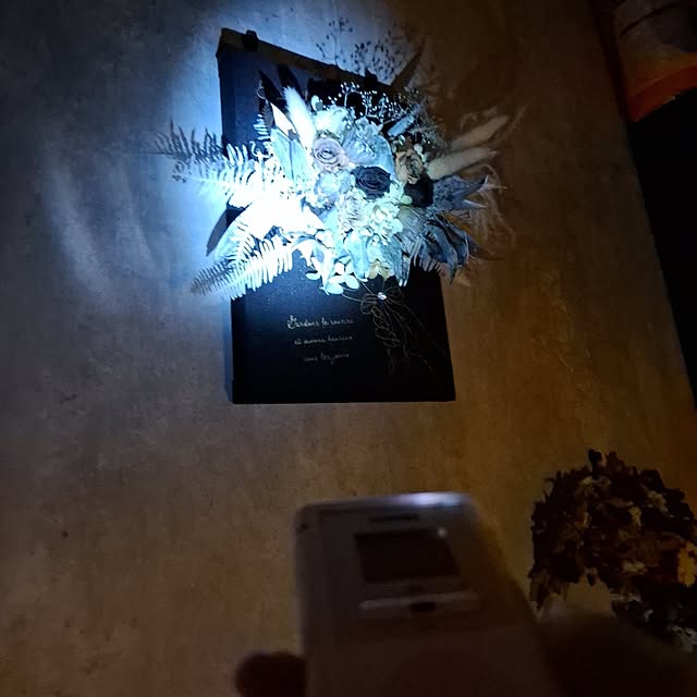 noaさんの部屋