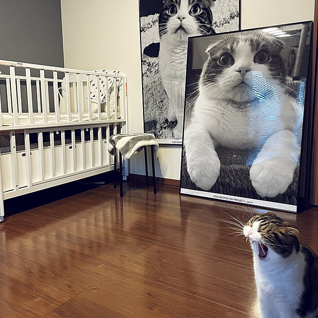 tansukeさんの実例写真