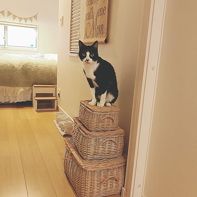 lovecatさんの実例写真