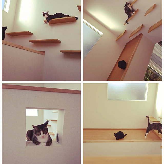 壁/天井のインテリア実例 - 2019-10-31 09:30:27