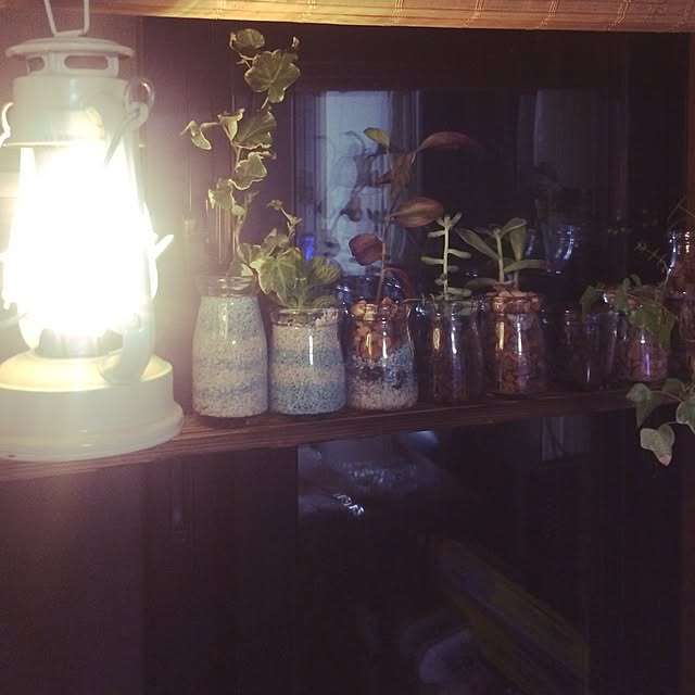 mint.0828さんの実例写真