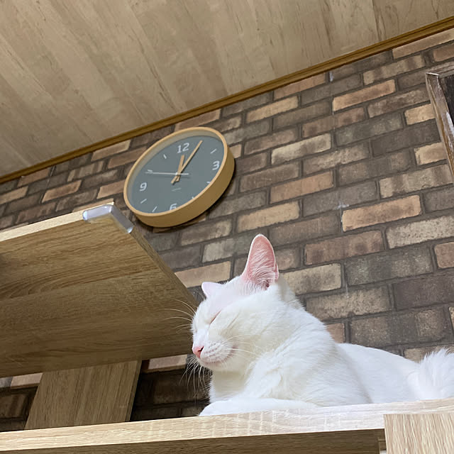 keiさんの実例写真