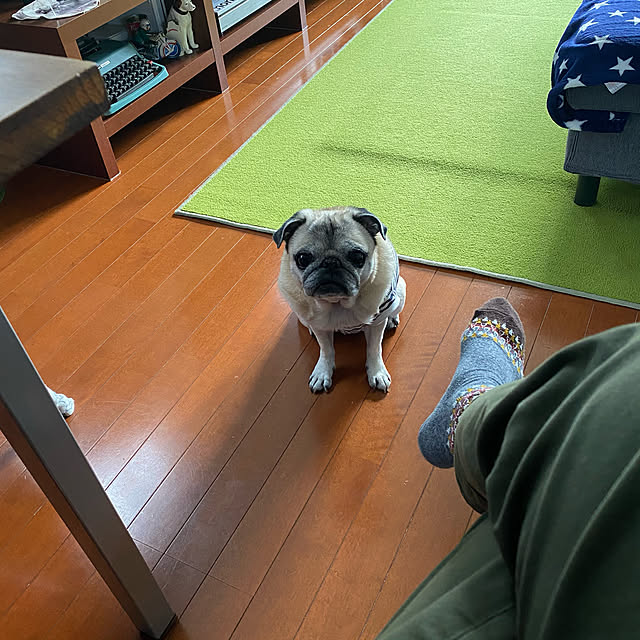 kellyさんの実例写真