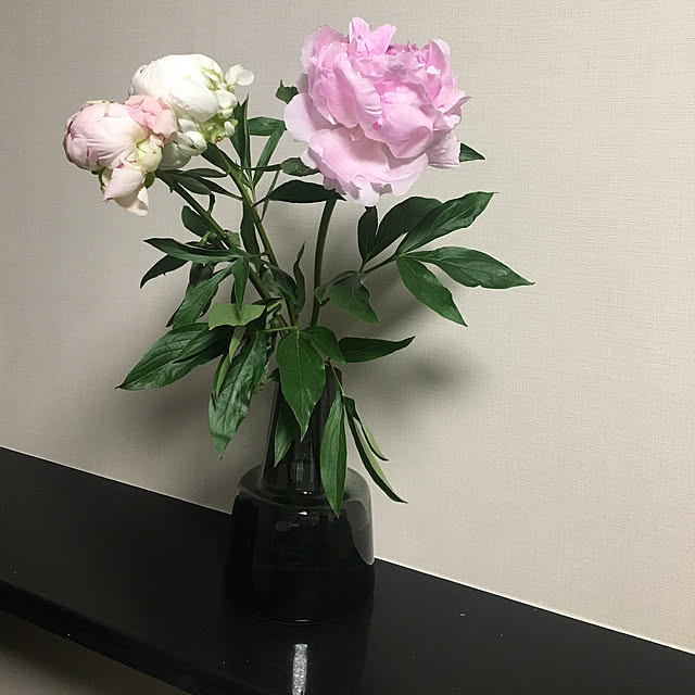 mr.さんの実例写真