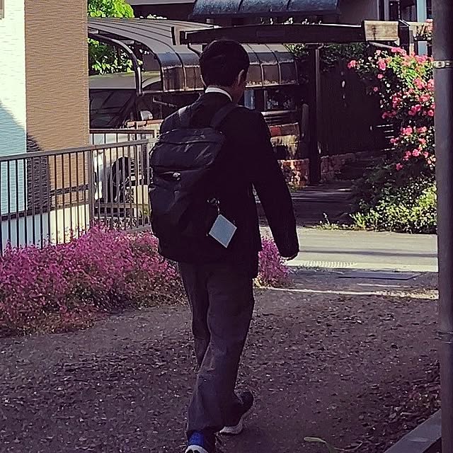 実例写真