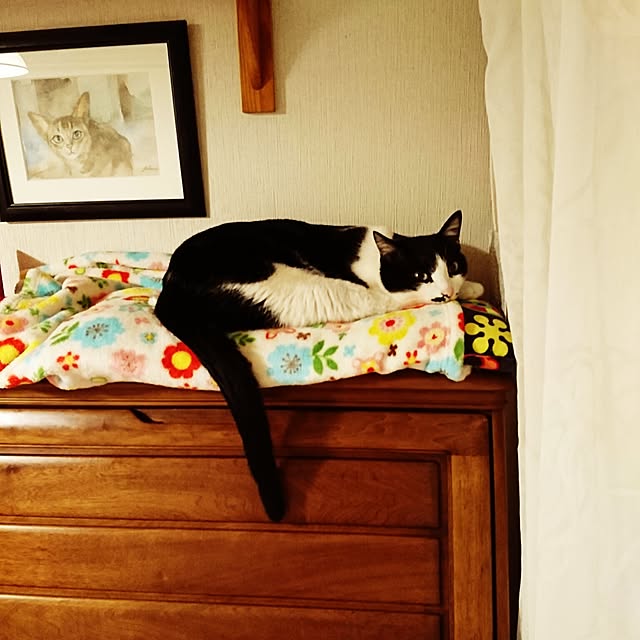 Mooさんの実例写真