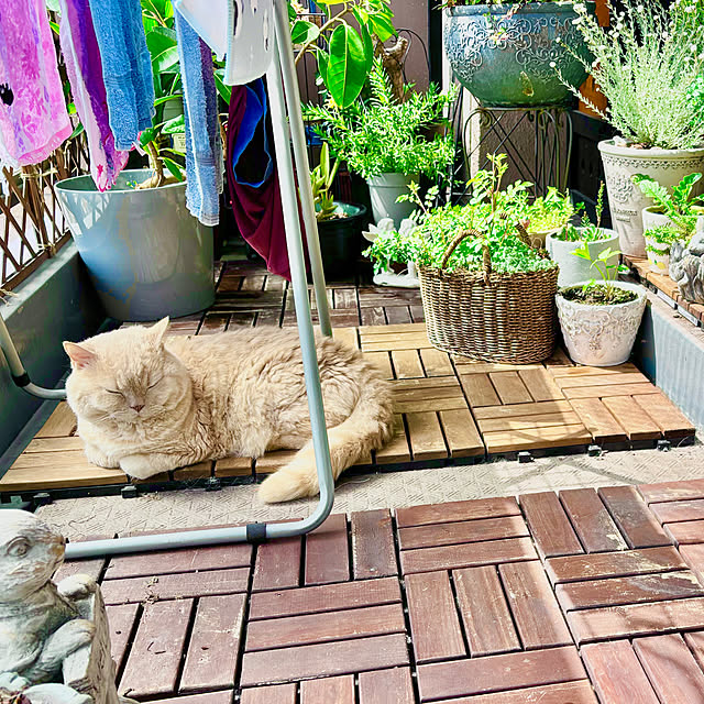 naokoさんの部屋