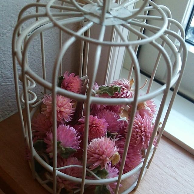 naturalさんの実例写真