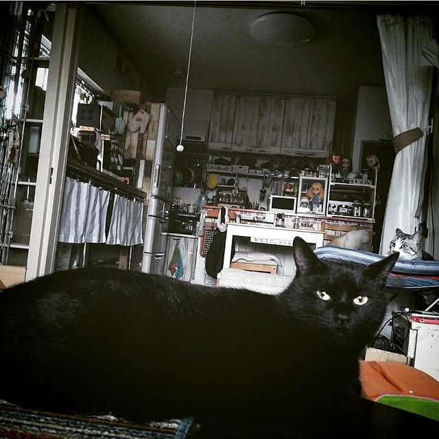 mntcさんの実例写真