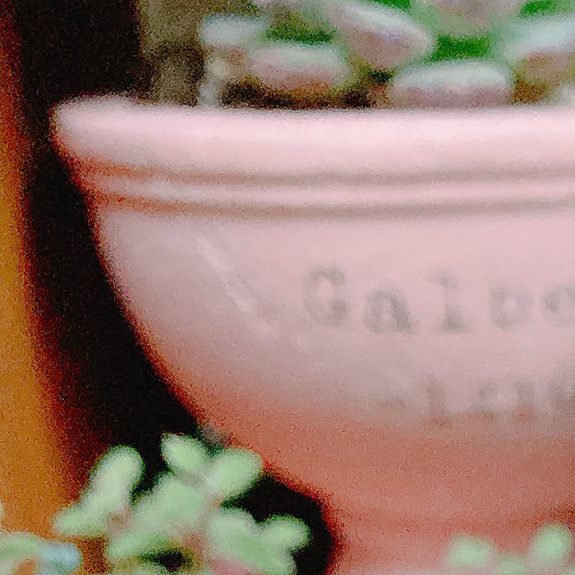 Hanakaさんの部屋