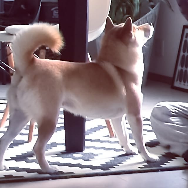 kさんの実例写真